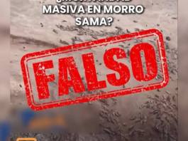 TACNA | ¡NO TE DEJES ENGAÑAR POR LAS NOTICIAS FALSAS!
