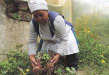 EN MOQUEGUA QALI WARMA IMPULSA  IMPLEMENTACIÃ“N DE HUERTOS ESCOLARES