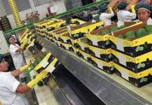 ACTUALIZAN PLAN REGIONAL EXPORTADOR DE MOQUEGUA AL 2025
