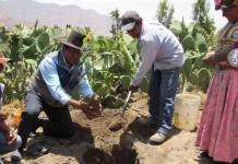 CALACOA: REINICIAN PROYECTOS DE INVERSION PUBLICA CON PRESTAMO DEL BANCO DE LA NACION