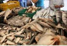GOBERNADOR REGIONAL ENTREGA PESCADO POR SEMANA SANTA A INSTITUCIONES BENÃ‰FICAS