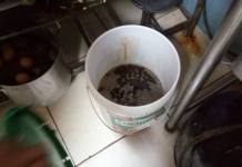 ILO: CEVICHERÃAS NO REUNEN CONDICIONES SANITARIAS