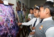 ANGLO AMERICAN RINDE HOMENAJE A ILO POR SU ANIVERSARIO