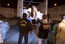 AREQUIPA: POLICÃA FISCAL INCAUTA MAÃZ Y AJO BOLIVIANO VALORIZADO EN 180 MIL SOLES