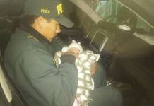 AREQUIPA: MADRE ABANDONA A BEBÃ‰ DE 26 DÃAS DE NACIDA EN UNA TINA