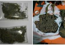 AREQUIPA: MENOR DE EDAD ES INTERVENIDO CON 560 GRAMOS DE MARIHUANA
