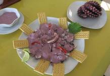 ILO: LA COMBINACIÃ“N PERFECTA DEL PULPO Y EL OLIVO