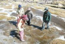 PUNO: SENAMHI PRONOSTICÃ“ HELADAS INTENSAS EN LA REGIÃ“N HASTA EL 3 DE JUNIO