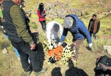 PUNO: HOMBRE MUERE CONGELADO EN CERRO HUAYNARROQUE CERCA A MONUMENTO