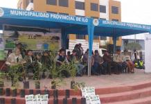 ILO: SE INICIO PLANTADO DE MÃS DE 1000 ARBOLITOS EN DISTINTAS ZONAS