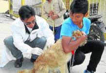 PUNO: CAMPAÃ‘A DE VACUNACIÃ“N CANINA Y FESTIVAL DE MASCOTAS SERÃ EL MARTES