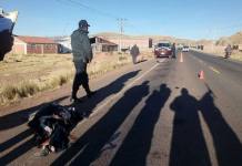 PUNO: VARIOS VEHÃCULOS DESTROZAN CADÃVER EN LA VÃA JULIACA-AREQUIPA