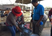 AREQUIPA: GANADEROS TENDRÃN TRES MILLONES DE SOLES PARA INDUSTRIALIZAR LA LECHE