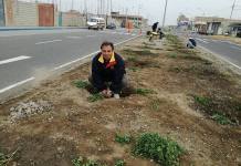TACNA: CINCO CLUBES ROTARIOS PLANTARON 500 APTENIAS