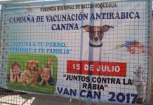 CAMPAÃ‘A DE VACUNACIÃ“N ANTIRRÃBICA CANINA 2017 â€œLA RABIA SE PUEDE EVITAR SI SE ATIENDE A TIEMPOâ€