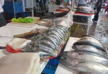 AREQUIPA: PRODUCTOS HIDROBIOLÃ“GICOS ESCASEAN EN MERCADOS
