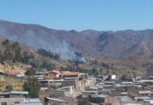 TACNA: INCENDIO FORESTAL DESTRUYE BOSQUE DE AGENCIA AGRÃCOLA EN TARATA