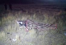 PUNO: HOMBRE MUERE TRAS SER EMBESTIDO Y PISOTEADO POR SU TORO