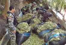 CUSCO: POLICÃA INMOVILIZA MÃS DE UNA TONELADA DE HOJAS DE COCA