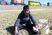 PUNO: MAESTROS TOMAN PEAJES Y DEJAN A VEHÃCULOS EL PASO LIBRE