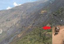 CUSCO: INCENDIO FORESTAL DEVORA MÃS DE 1,500 HECTÃREAS EN SAN PEDRO DE CACHORA