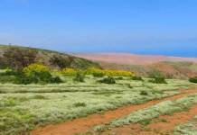 ILO: TERRENOS SON PRODUCTIVOS PARA AMPLIACIÃ“N DE FRONTERA AGRÃCOLA