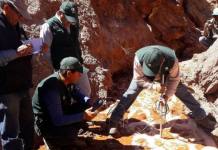 AREQUIPA: POBLADORES DE MAJES CONSUMEN Y RIEGAN CULTIVOS CON AGUA CONTAMINADA