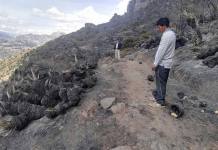 CUSCO: INCENDIO FORESTAL NO AFECTÃ“ MONUMENTOS ARQUEOLÃ“GICOS