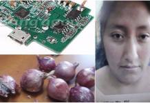 AREQUIPA: MUJER INTENTÃ“ INGRESAR A PENAL 18 CARGADORES DE CELULAR EN CEBOLLAS