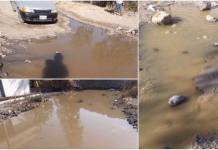 AREQUIPA: SEDAPAR TARDA OCHO DÃAS PARA DESATORAR BUZÃ“N DE DESAGÃœE