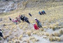PUNO: REGRESÃ“ A SU TIERRA NATAL SIN IMAGINAR QUE SERÃA SU ÃšLTIMO DESTINO