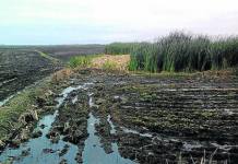 AREQUIPA: AGRICULTORES RELLENAN LAGUNAS EN CAMANÃ