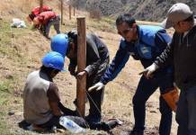 CUSCO: INSTALAN PARCELAS DE INVESTIGACIÃ“N SOBRE ECOSISTEMAS DE MONTAÃ‘A