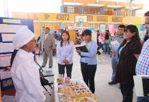 PUNO: PROYECTOS ESCOLARES CLASIFICAN A FASE REGIONAL DE FENCYT