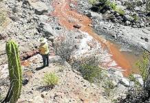 AREQUIPA: SALINIDAD DEL AGUA GENERA PÃ‰RDIDAS POR S/3 MILLONES EN MAJES
