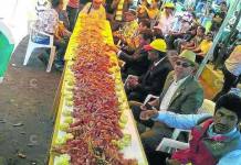 AREQUIPA: CINCO DISTRITOS DE CAMANÃ DE FIESTA POR SU 73Â° ANIVERSARIO
