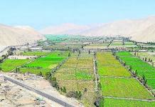 AREQUIPA: POBLADORES DE VALLE ARRIBA ESTÃN EN PELIGRO