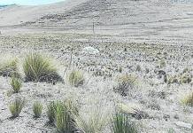 PUNO: DESPISTE DEJA 3 HERIDOS EN LA CARRETERA PUNO - LARAQUERI