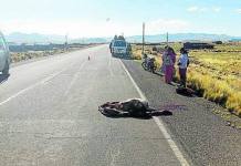 PUNO: ATROPELLAN Y ABANDONAN A ANCIANO EN PANAMERICANA SUR