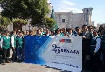 AREQUIPA: PLAGAS DE RATAS EN TRES PROVINCIAS
