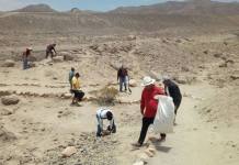 TACNA: OPERADORES DE TURISMO REALIZAN JORNADA DE LIMPIEZA EN EL COMPLEJO DE MICULLA