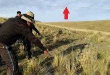 CUSCO: OSINERGMIN SANCIONARÃA A ELECTRO SUR ESTE POR MUERTE DE COMUNERO