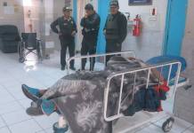 TACNA: DETIENEN AGRICULTOR POR AGREDIR A UN POLICÃA EN CALANA