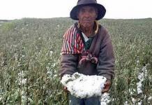 APURIMAC: FUERTE GRANIZADA ARRASA CON CULTIVOS Y CORTA SERVICIO DE TELEFONÃA E INTERNET