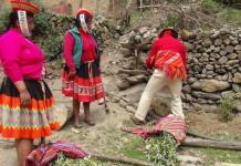 CUSCO: COMUNIDAD DE WILLOQ FUE ORNAMENTADA Y REFORESTADA