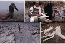 AREQUIPA: AFECTADOS POR CENIZAS DEL VOLCÃN SABANCAYA ESPERAN AYUDA DE LA REGIÃ“N