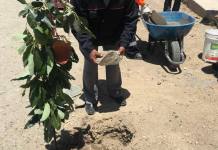 MOQUEGUA: ESTE SÃBADO CUMPLIREMOS UNA PROMESA MÃS PARA NUESTROS HERMANOS DE ARUNTAYA Y TITIRE