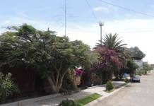 SAMEGUA: LA MUNICIPALIDAD DISTRITAL CONTINUA CON LOS TRABAJOS DE MANTENIMIENTO Y MEJORAS DE LA CALLE ANTIGUA