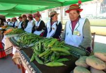 ICHUÃ‘A: CON Ã‰XITO SE DESARROLLÃ“ LA TERCERA FERIA "DE LA CHACRA A LA OLLA ICHUÃ‘A 2018"