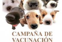 MOQUEGUA: VAN CAN 2018 SE VIENE REALIZANDO EN TODAS LOS ESTABLECIMIENTOS DE SALUD HASTA EL 14 DE JULIO